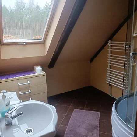 مزرعة للإقامة Lesna Babka Jastrowie