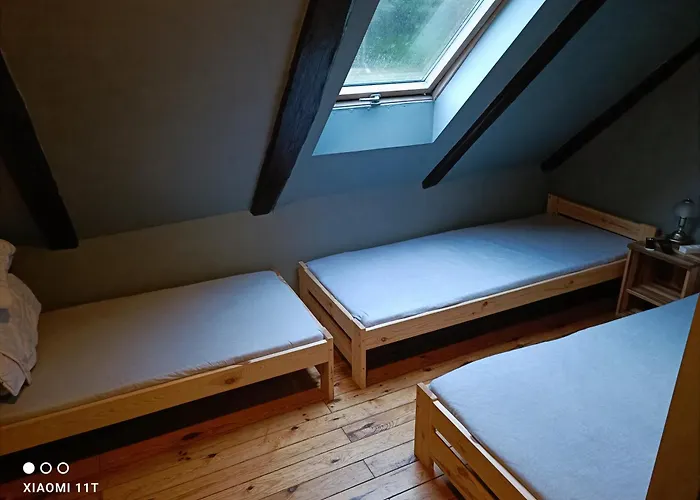 Lesna Babka Jastrowie